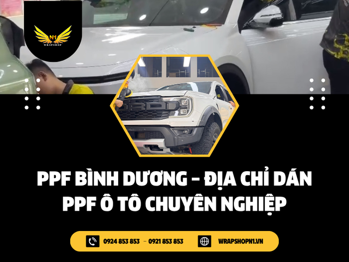 Nghệ Thuật Bảo Vệ Từ Sự Thấu Hiểu